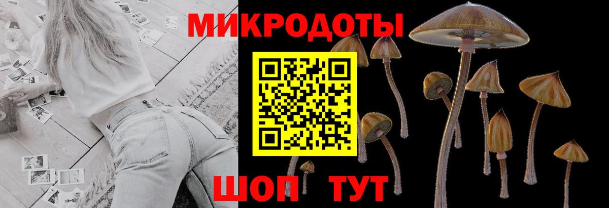 Хасавюрт  Галлюциногенные грибы мухоморы  Псилоцибиновые грибы GOLDEN TEACHER  Вход с VPN 
